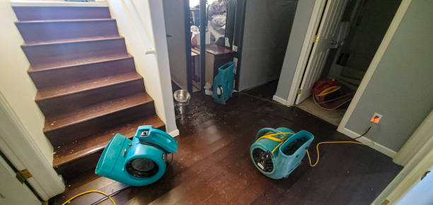 Best Carpet water damage restoration  in Rineyville, KY