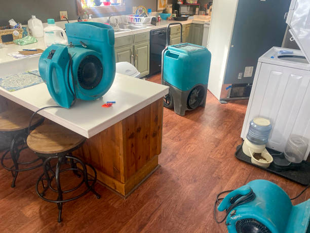 Best Flooded house restoration  in Rineyville, KY