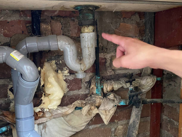 Best Ceiling water damage repair  in Rineyville, KY